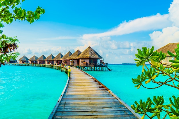 Caribbean from Baltimore